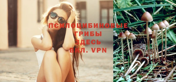 соль ск Бронницы