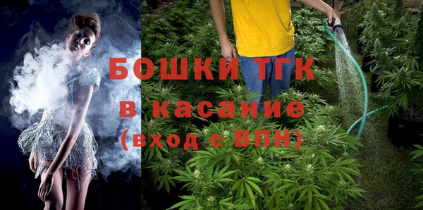 трава Бородино